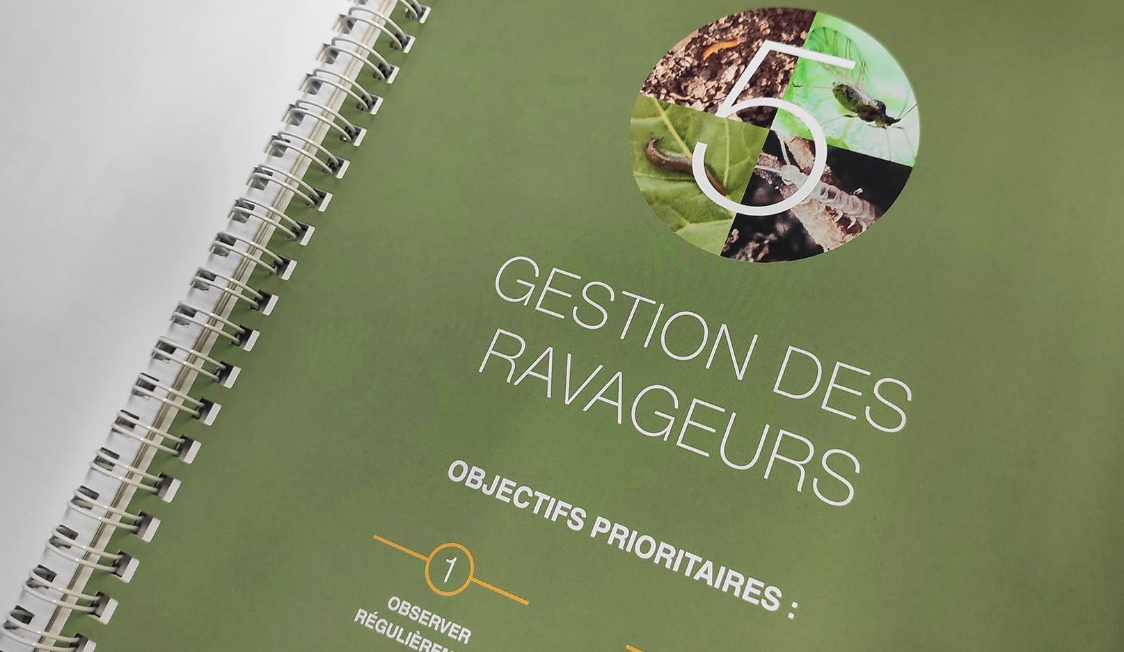 TEREOS AGROBOOK : Guide agronomique Tereos - Agence Linéal