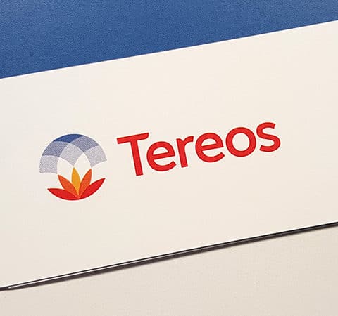 TEREOS : Réalisation de tous les supports nationaux et internationaux, internes et externes, multilingues - Agence Linéal