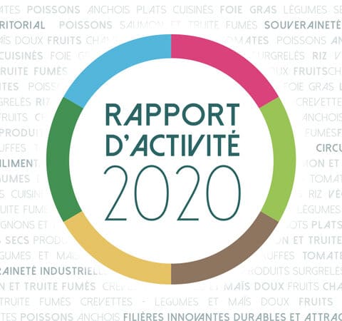 Rapport d'activité 2020